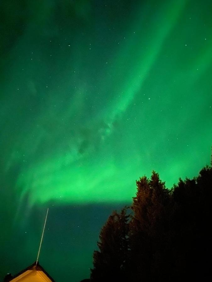 Lyngen, Mackay Appartment, Lyngen Lyngseidet Exteriér fotografie