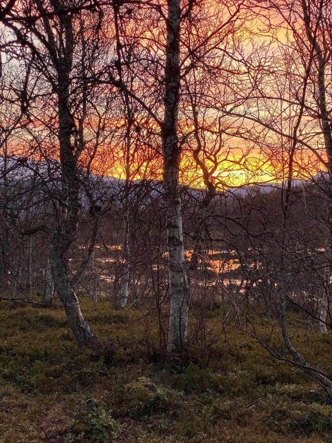Lyngen, Mackay Appartment, Lyngen Lyngseidet Exteriér fotografie