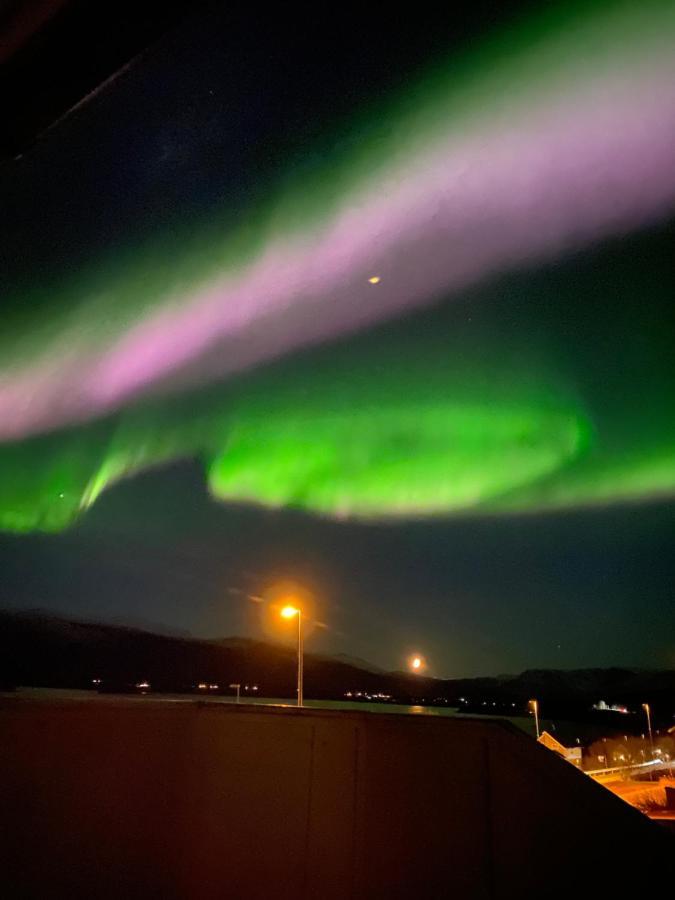 Lyngen, Mackay Appartment, Lyngen Lyngseidet Exteriér fotografie