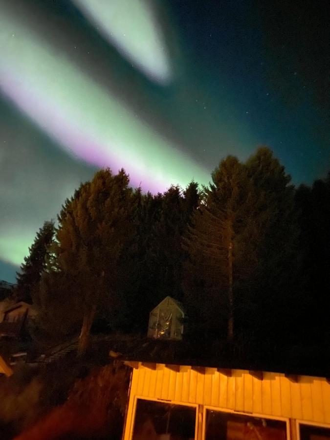 Lyngen, Mackay Appartment, Lyngen Lyngseidet Exteriér fotografie